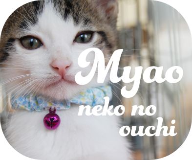 Myao neko no ouchi