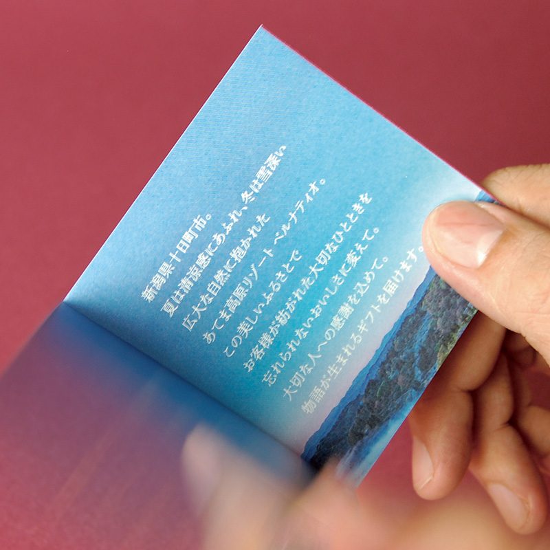 バウムクーヘン（プレーン・カラメル）のネーミング／ パッケージデザイン／リーフレット制作